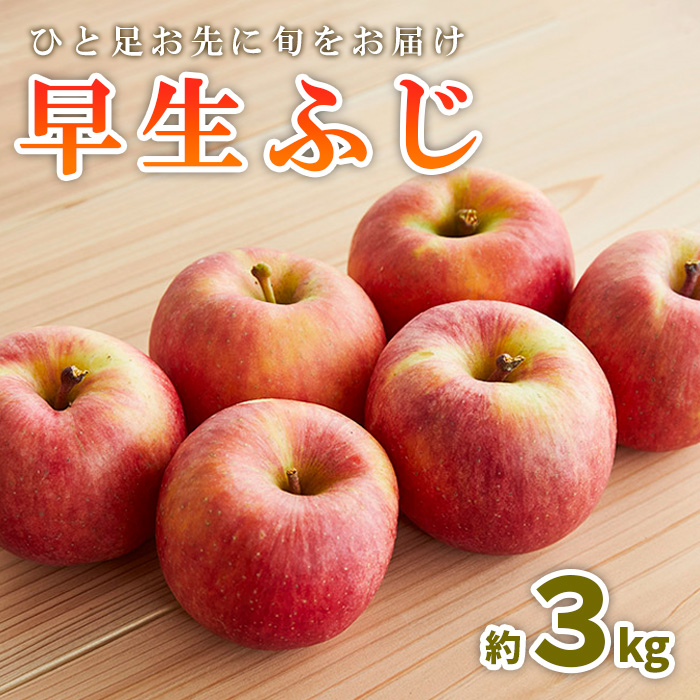 ひと足お先に旬をお届け 早生ふじ 秀品 約3kg【令和8年産先