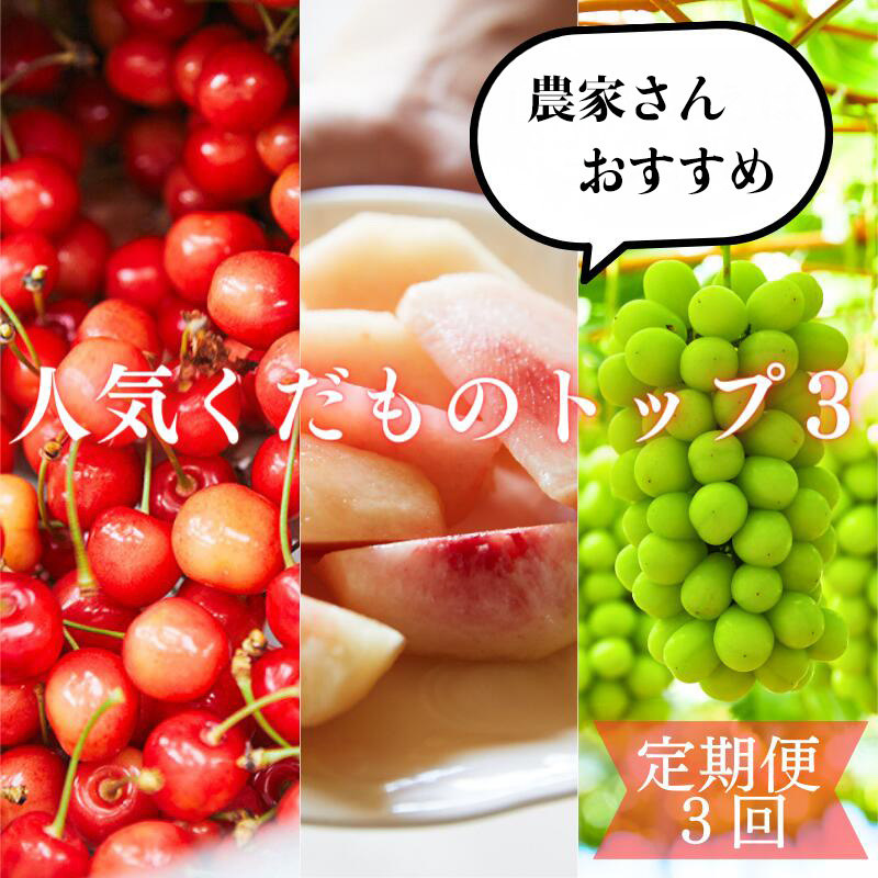 【定期便3回】農家さんおすすめ ～人気くだものトップ３！