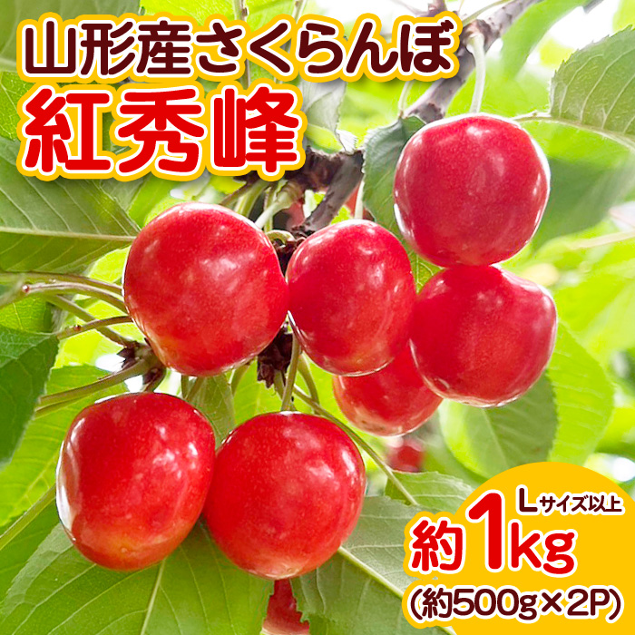 山形産 さくらんぼ 紅秀峰 Lサイズ以上 約1kg 【令和7年産先