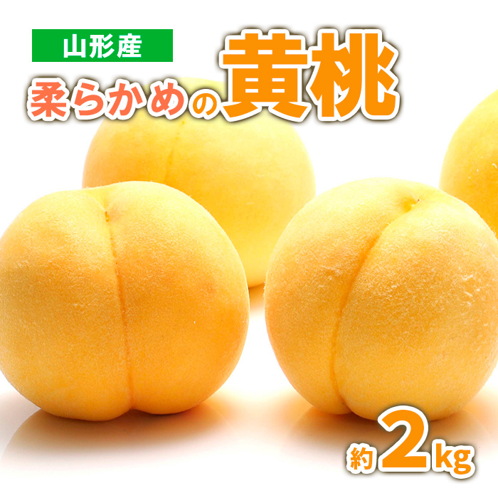 山形産　柔らかめの黄桃 約2kg (4～9玉) 秀品 【令和8年産先
