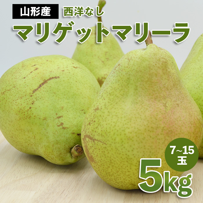 山形市産 西洋なし(マリゲットマリーラ) 秀 5kg(7玉～15玉)【
