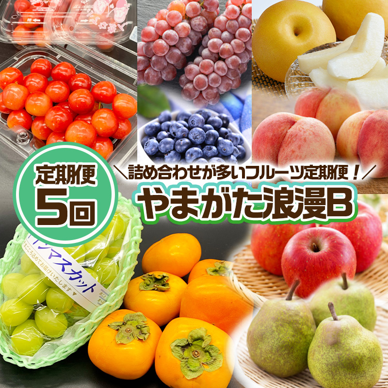【定期便5回】やまがた浪漫B [さくらんぼ・デラウェアとブ