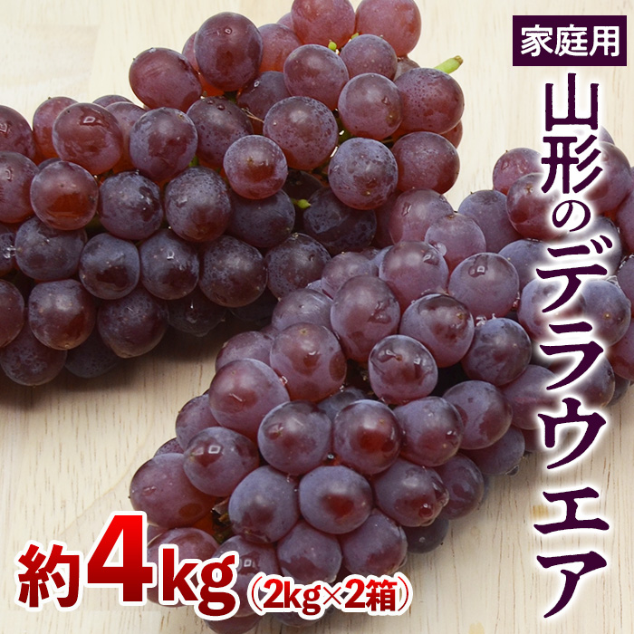 【ご家庭用】山形のデラウエア M～3L 約4kg [粒サイズおまか