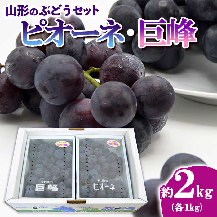 山形のぶどうセット 秀品 約2kg(ピオーネ約1kg2房前後・巨峰