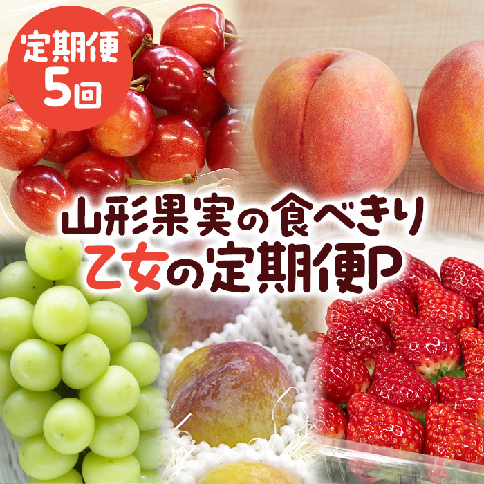 【定期便5回】山形果実の食べきり[乙女の定期便P] 【令和8