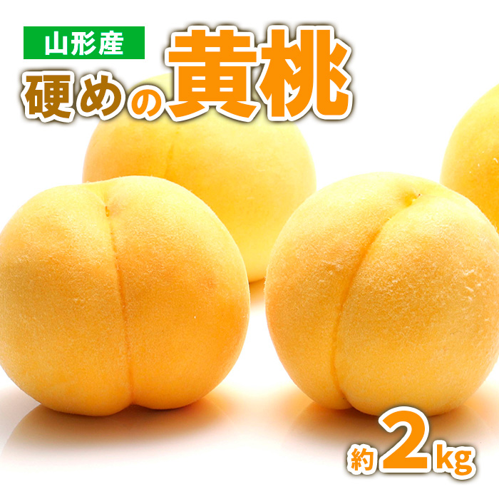 山形産 硬めの黄桃　約２kg（4～9玉)秀品 【令和8年産先行予