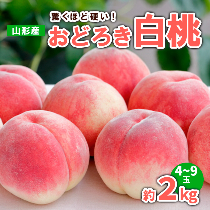 山形産 おどろき 白桃  秀 約2kg(4～9玉)【令和8年産先行予約