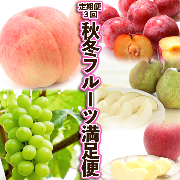 【定期便3回】秋冬フルーツ満足便 【令和7年産先行予約】FS