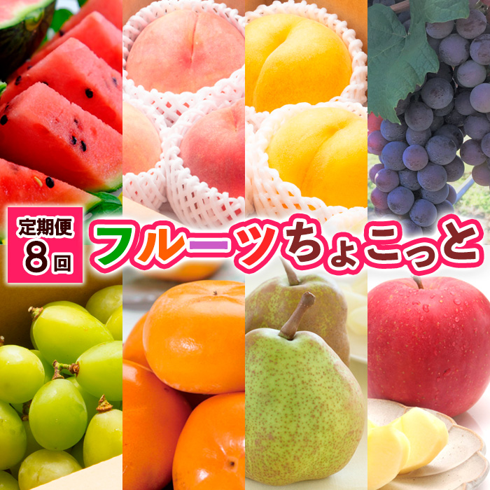 【定期便8回】フルーツちょこっと 【令和7年産先行予約】FS