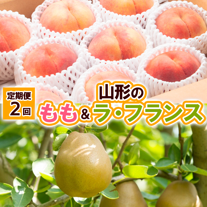 【定期便2回】山形の　もも＆ラ・フランス【令和8年産先行