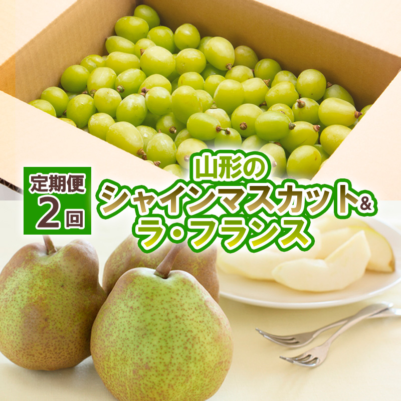 【定期便2回】山形の　シャインマスカット＆ラ・フランス