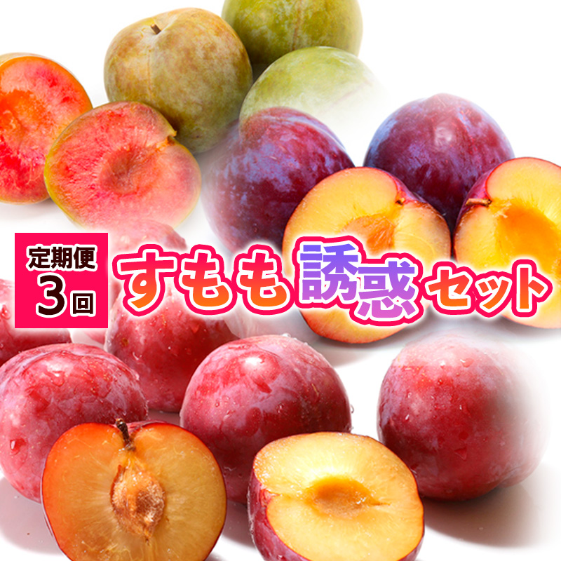 【定期便3回】すもも誘惑セット 【令和8年産先行予約】FS24-