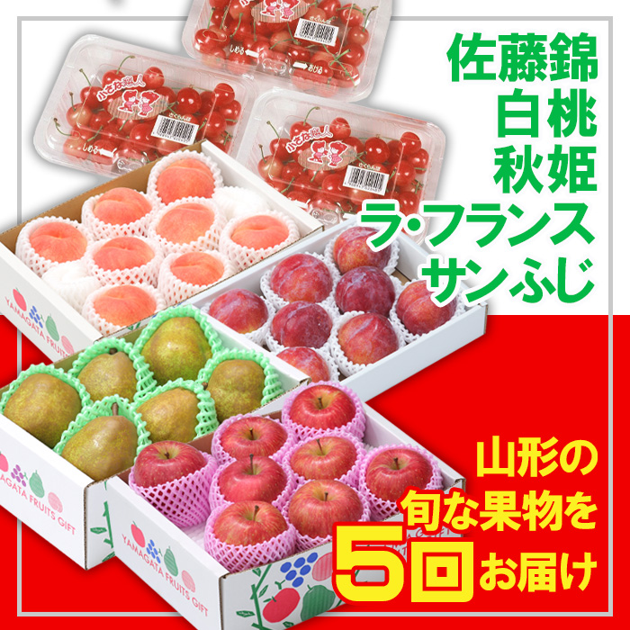 【定期便5回】☆フルーツ王国山形☆さくらんぼ佐藤錦・白