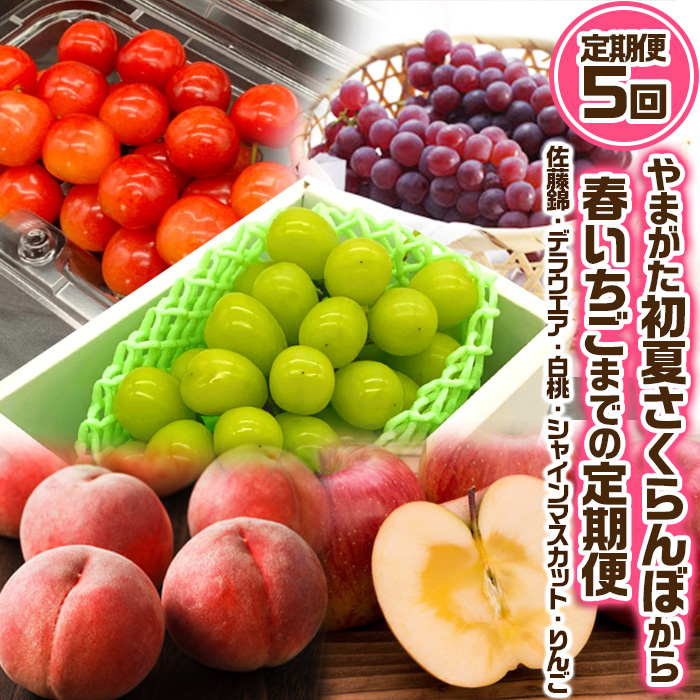 【定期便5回】やまがた ”初夏さくらんぼから冬りんご”ま