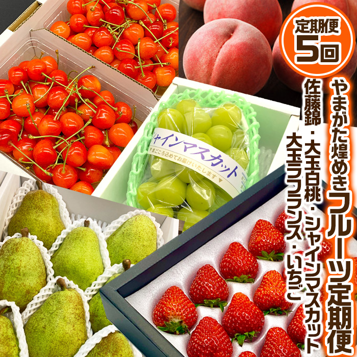 【定期便5回】やまがた 煌めきフルーツ定期便(佐藤錦・大