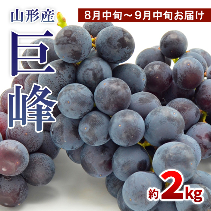 山形のぶどう 巨峰 秀品 約2kg(3～6房)[8月中旬～9月中旬お届