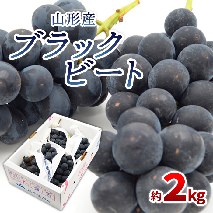 山形のぶどう ブラックビート 秀品 約2kg(3～6房)【令和8年産