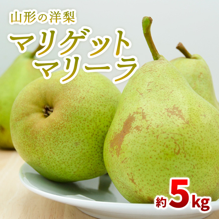 山形の洋梨 マリゲットマリーラ 秀品 約5kg(7～15玉)【令和8