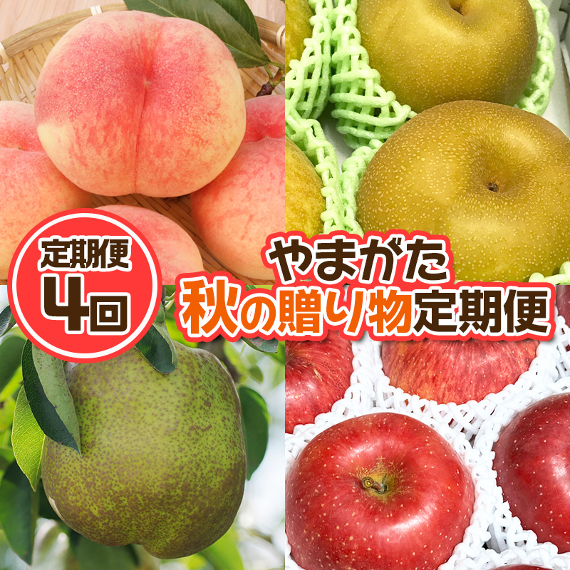 【定期便4回】やまがた 秋の贈り物定期便【令和8年産先行