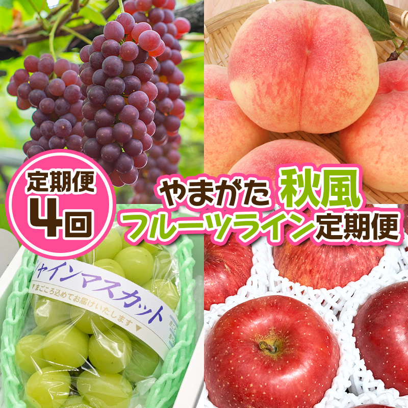 【定期便4回】やまがた 秋風フルーツライン定期便【令和8