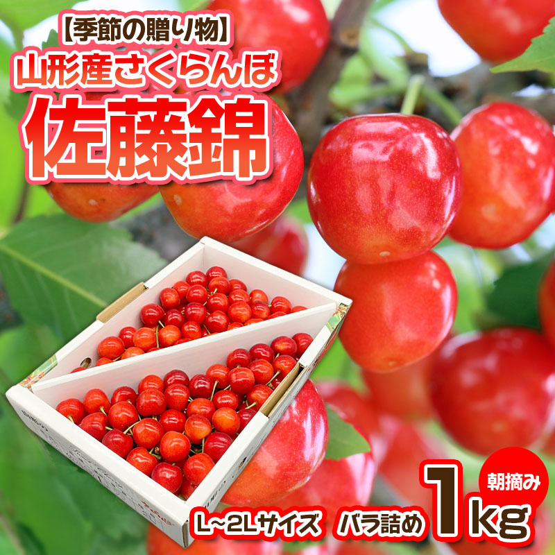 【季節の贈り物】さくらんぼ 佐藤錦 1kg バラ詰め 朝摘み【