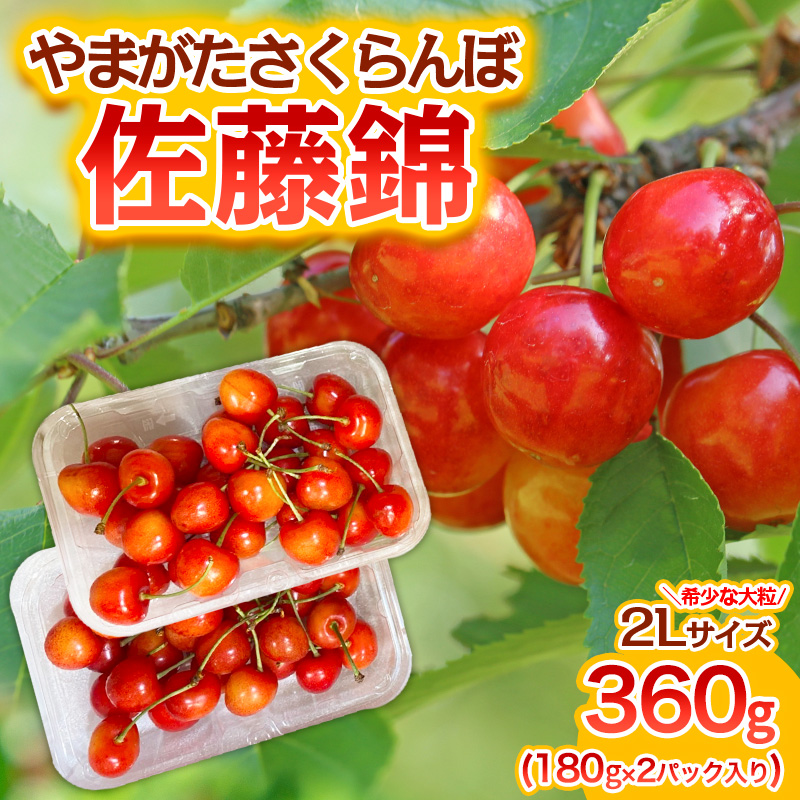 やまがた さくらんぼ 佐藤錦 "希少な大粒" 2Lサイズ 360g(180g×