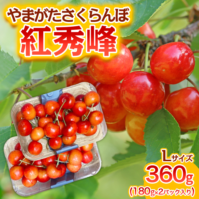 やまがた さくらんぼ 紅秀峰 Lサイズ 360g(180g×2パック入り) 1