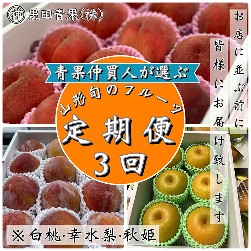 【定期便3回】青果仲買人が選ぶ！山形旬のフルーツ3選！[