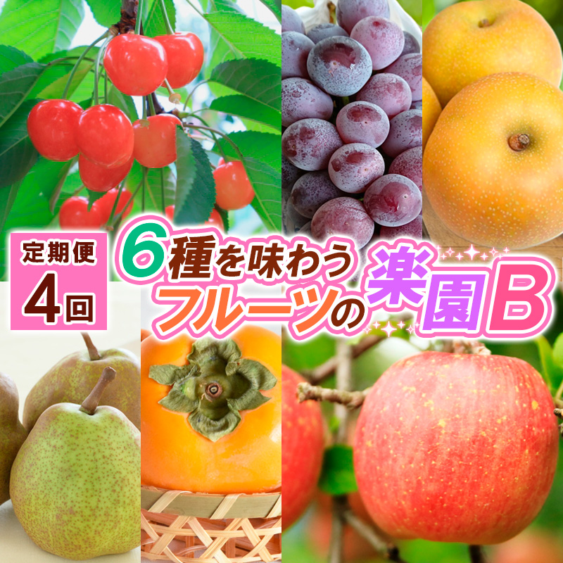 【定期便4回】６種を味わうフルーツの楽園Ｂ【令和8年産先