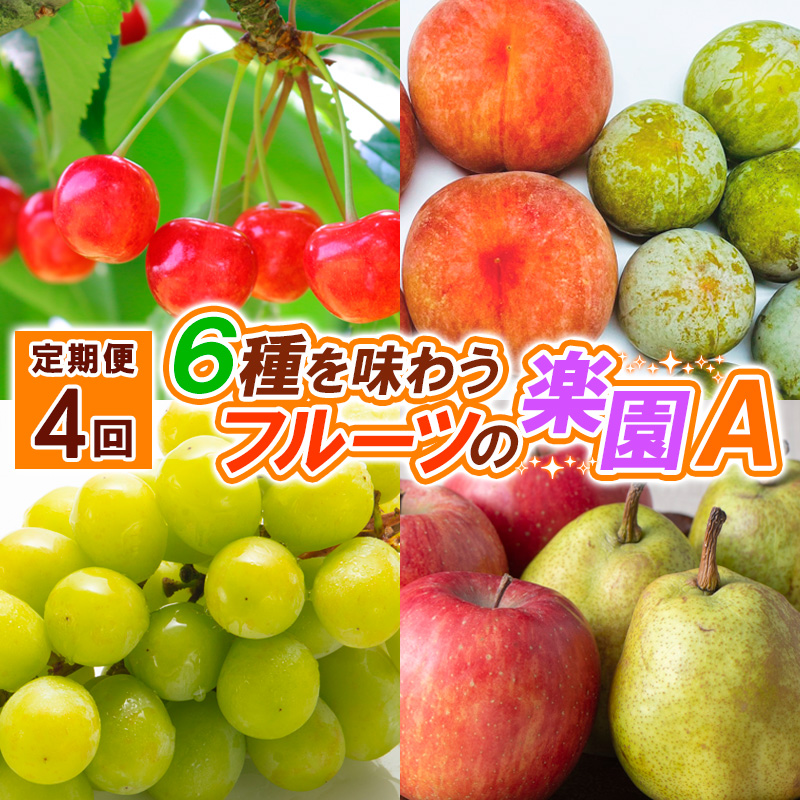 【定期便4回】６種を味わうフルーツの楽園Ａ【令和8年産先
