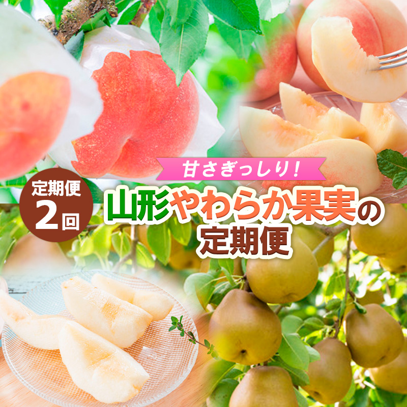 【定期便2回】甘さぎっしり！山形やわらか果実の定期便 【