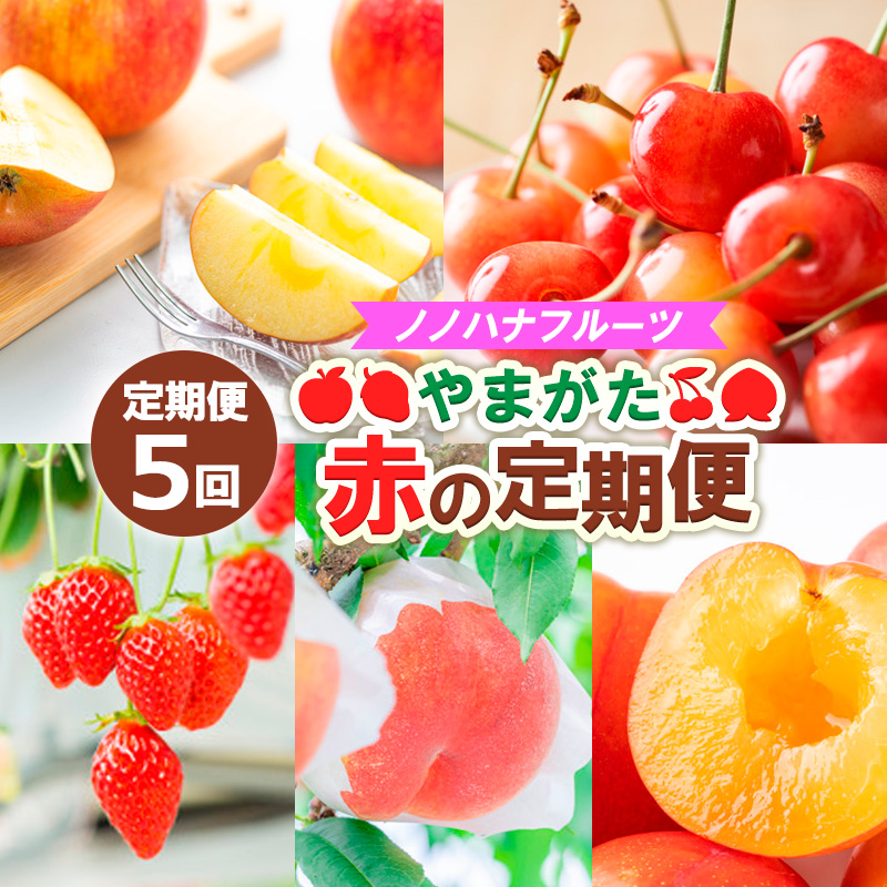 【定期便5回】ノノハナフルーツ やまがた赤の定期便 FY25-812