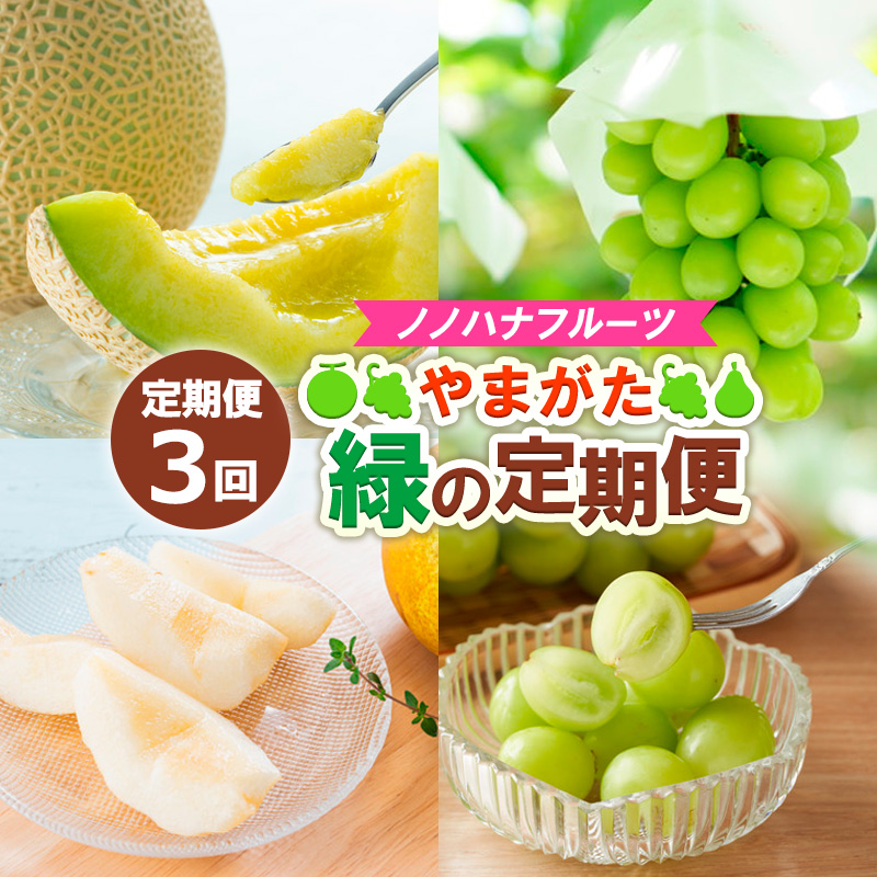 【定期便3回】ノノハナフルーツ やまがた緑の定期便【令和