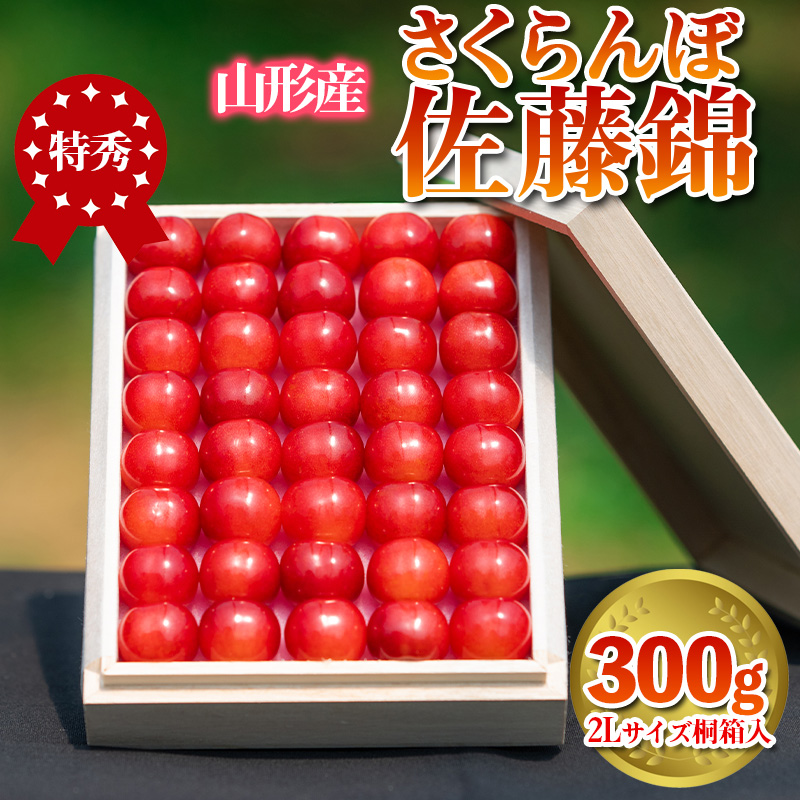 さくらんぼ 「佐藤錦」 300g 特秀品 2Lサイズ 桐箱入 山形産