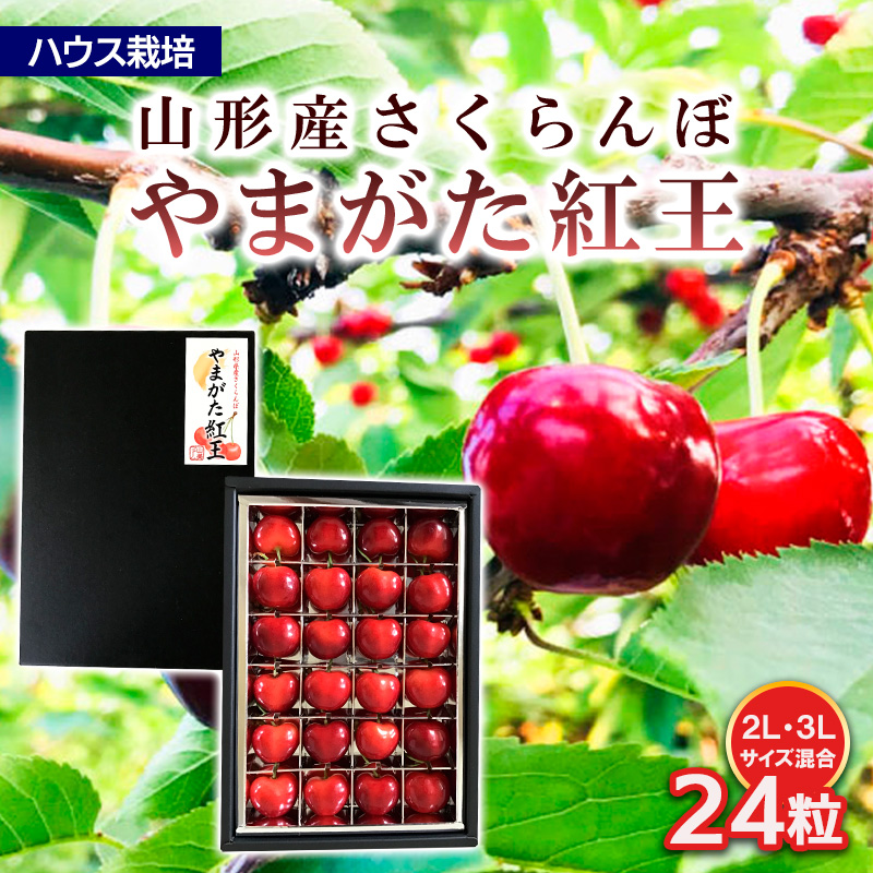 ハウス栽培 山形市産さくらんぼ【やまがた紅王 特選品】2L,