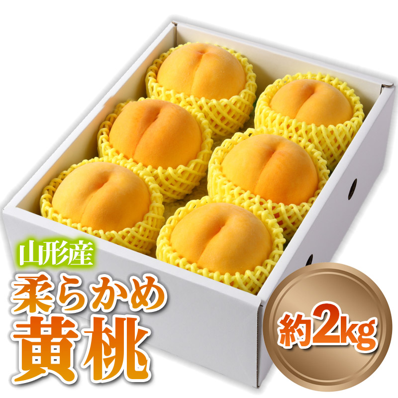 山形産 柔らかめ 「黄桃」 秀品 約2kg (5玉～8玉)【令和8年産