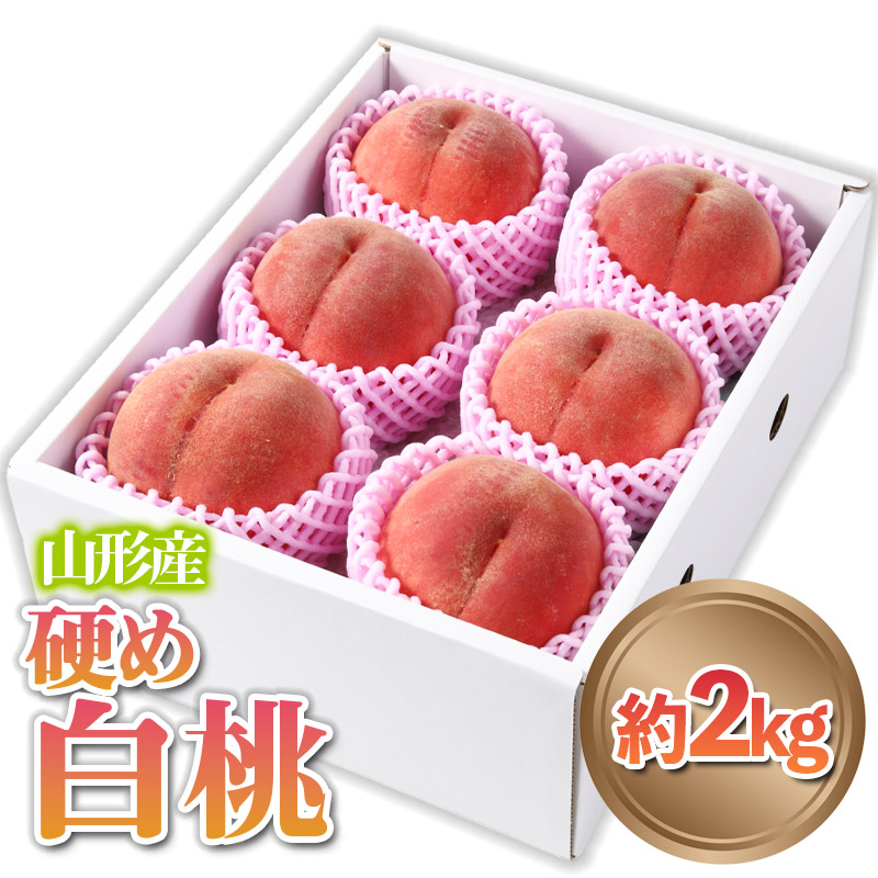 山形産 硬め 「白桃」 秀品 約2kg (5玉～8玉)【令和8年産先行