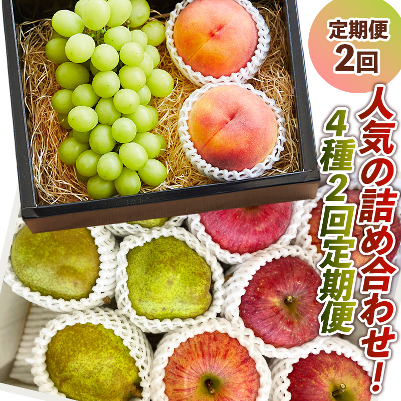 【定期便2回】人気の詰め合わせ！4種2回定期便【令和7年産