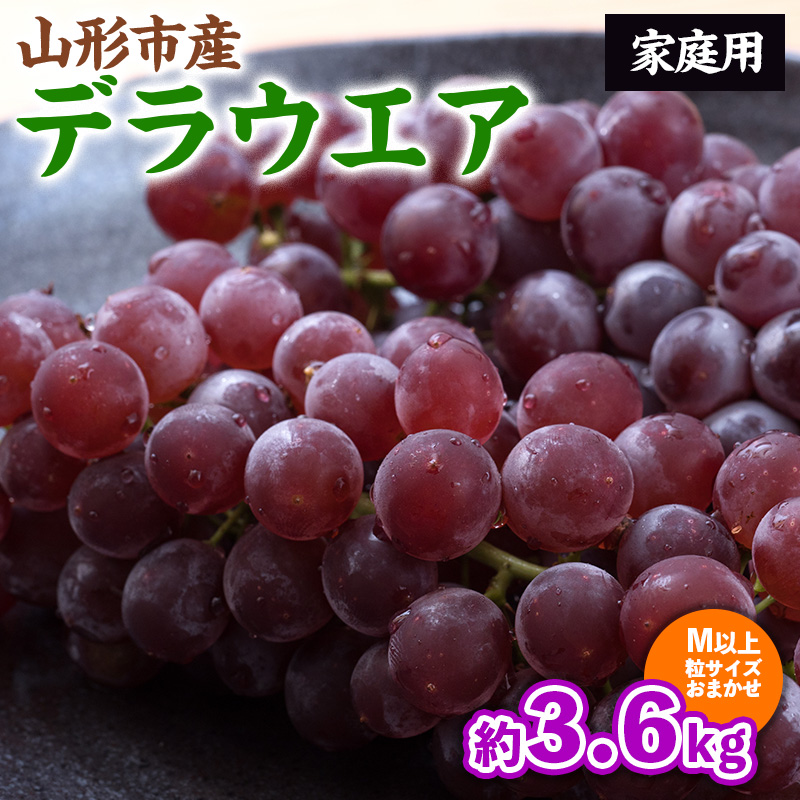 【ご家庭用】山形のデラウェア M以上 約3.6kg(18～37房)[粒サ