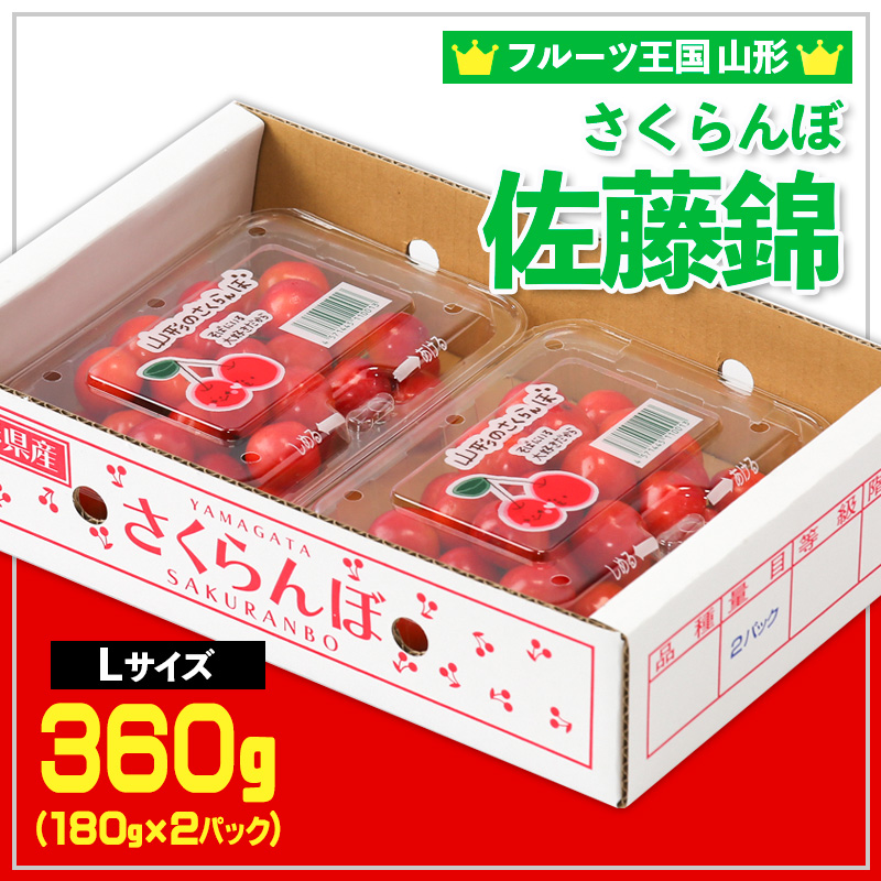 ☆フルーツ王国山形☆さくらんぼ 佐藤錦 Lサイズ 360g(180g×2