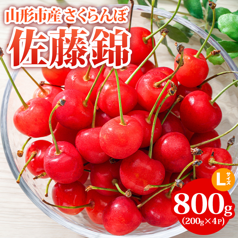 山形市産 さくらんぼ【佐藤錦】Lサイズ 800g(200g×4P) 【令和8