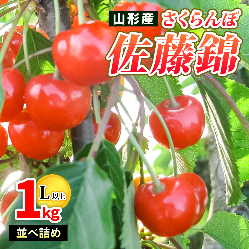 山形産 さくらんぼ佐藤錦 特秀 1kg 並べ詰め L以上 【令和8年