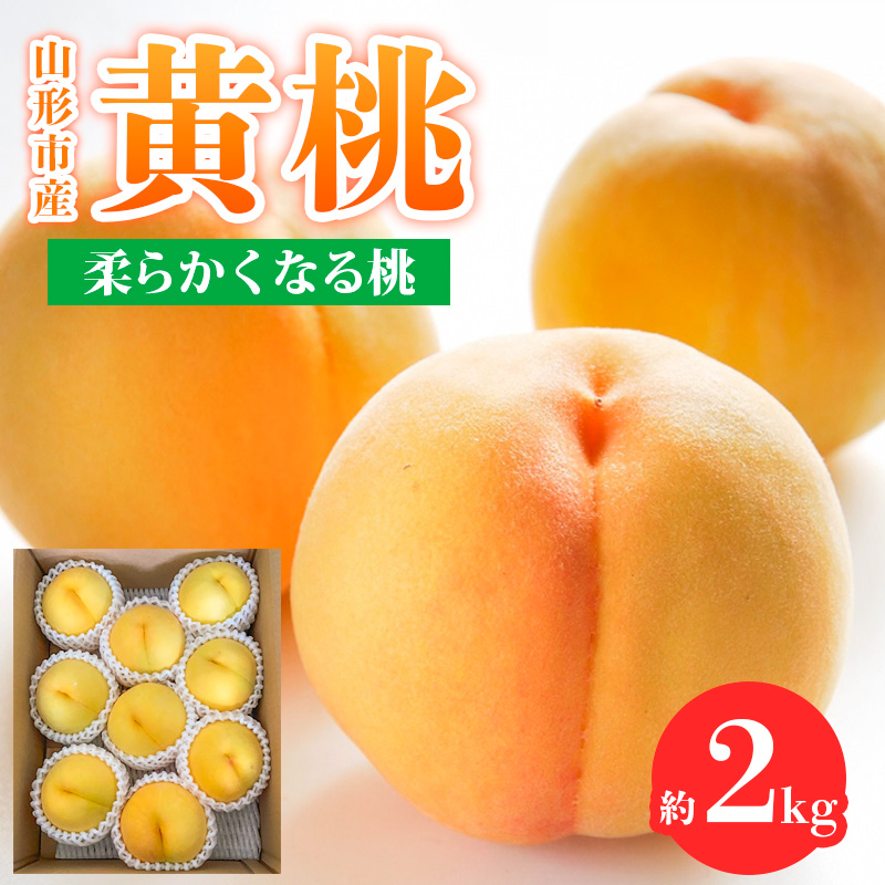 山形市産 黄桃 秀品 2kg(４～８玉) 柔らかくなる桃【令和8年