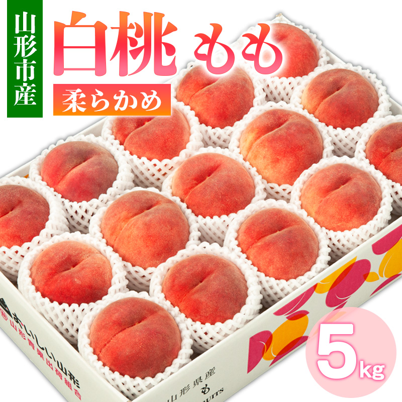 山形市産 白桃 もも 5kg 柔らかめ(10～16玉) 【令和8年産先行
