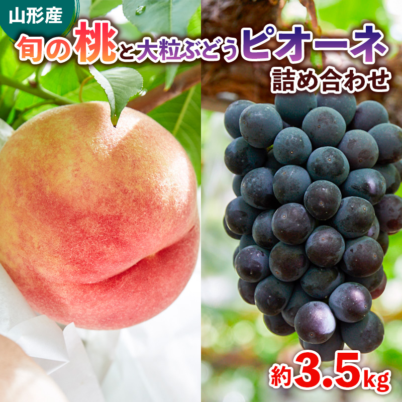 旬の桃と大粒ぶどうピオーネ 詰め合わせ 約3.5kg【令和8年産