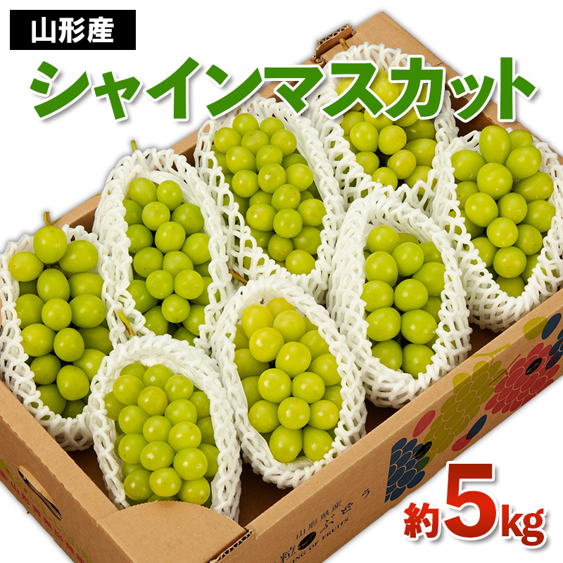 山形産 シャインマスカット 秀 約5kg 【令和8年産先行予約】