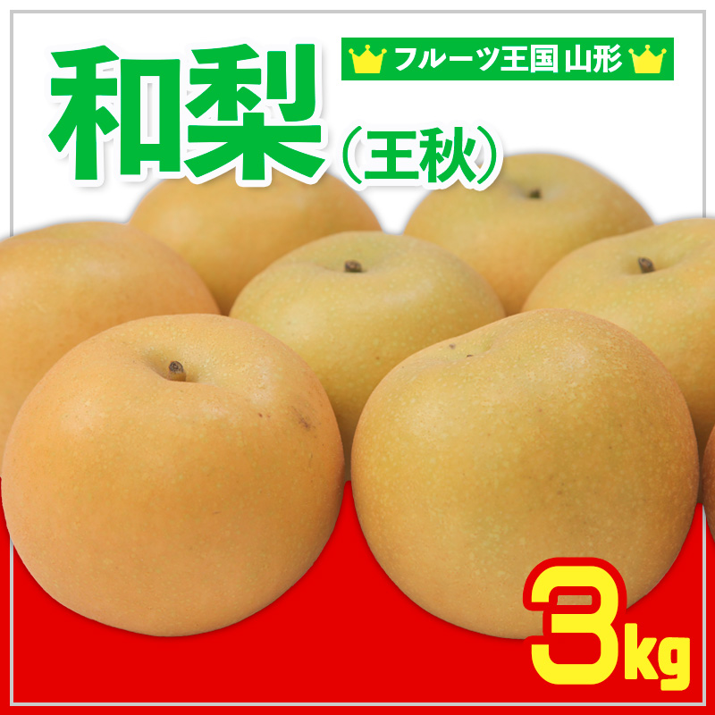 ☆フルーツ王国山形☆和梨 (王秋) 秀品 3kg【令和8年産先行