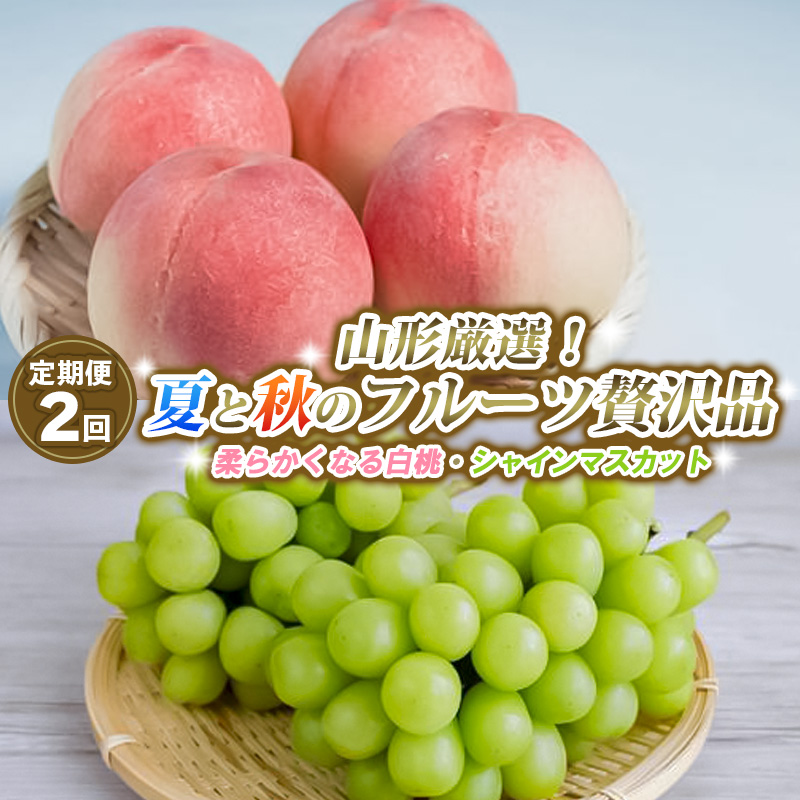 【定期便2回】山形厳選！夏と秋のフルーツ贅沢品(柔らかく