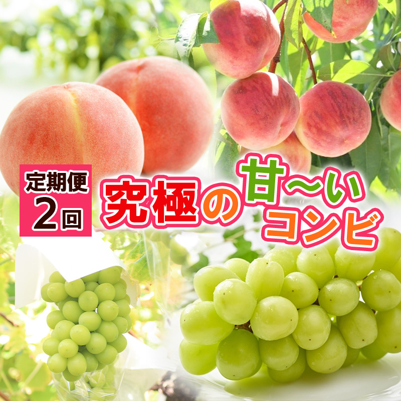 【定期便2回】究極の 甘～いコンビ【令和8年産先行予約】FS