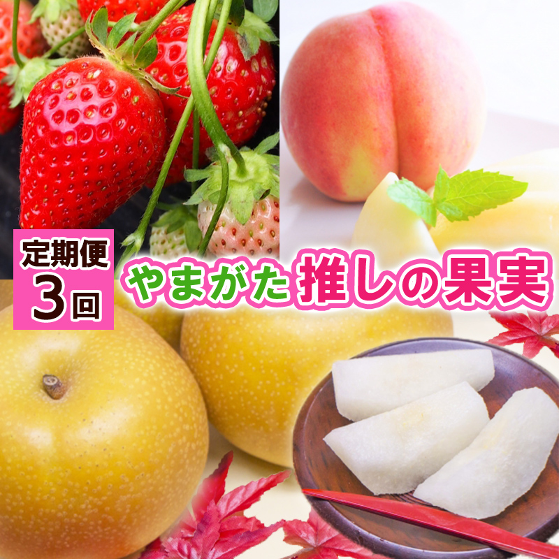 【定期便3回】やまがた 推しの果実【令和8年産先行予約】FS